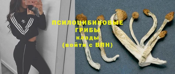 винт Дмитров