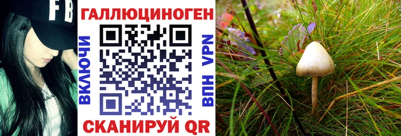 Псилоцибиновые грибы ЛСД Бронницы