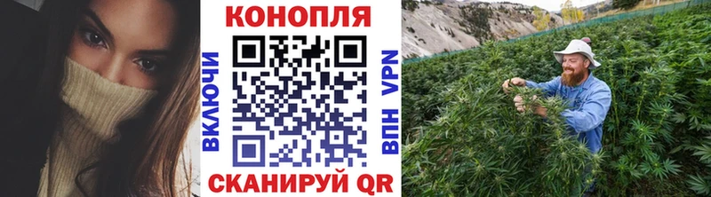 Каннабис индика  Бронницы 
